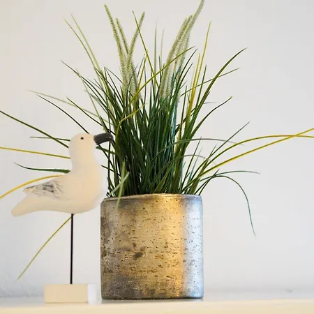 Haus Ornum 公寓 韦斯特兰